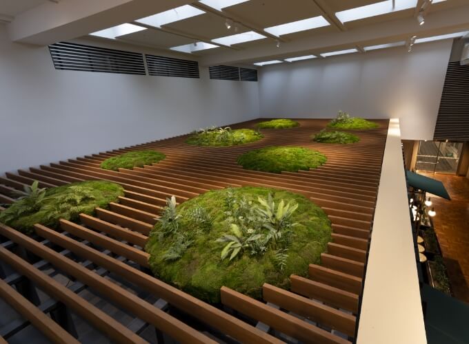 人工苔をあしらった天井
