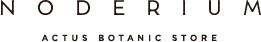 NODERIUM
